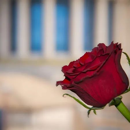 Гостевой дом Il Duomo Relais